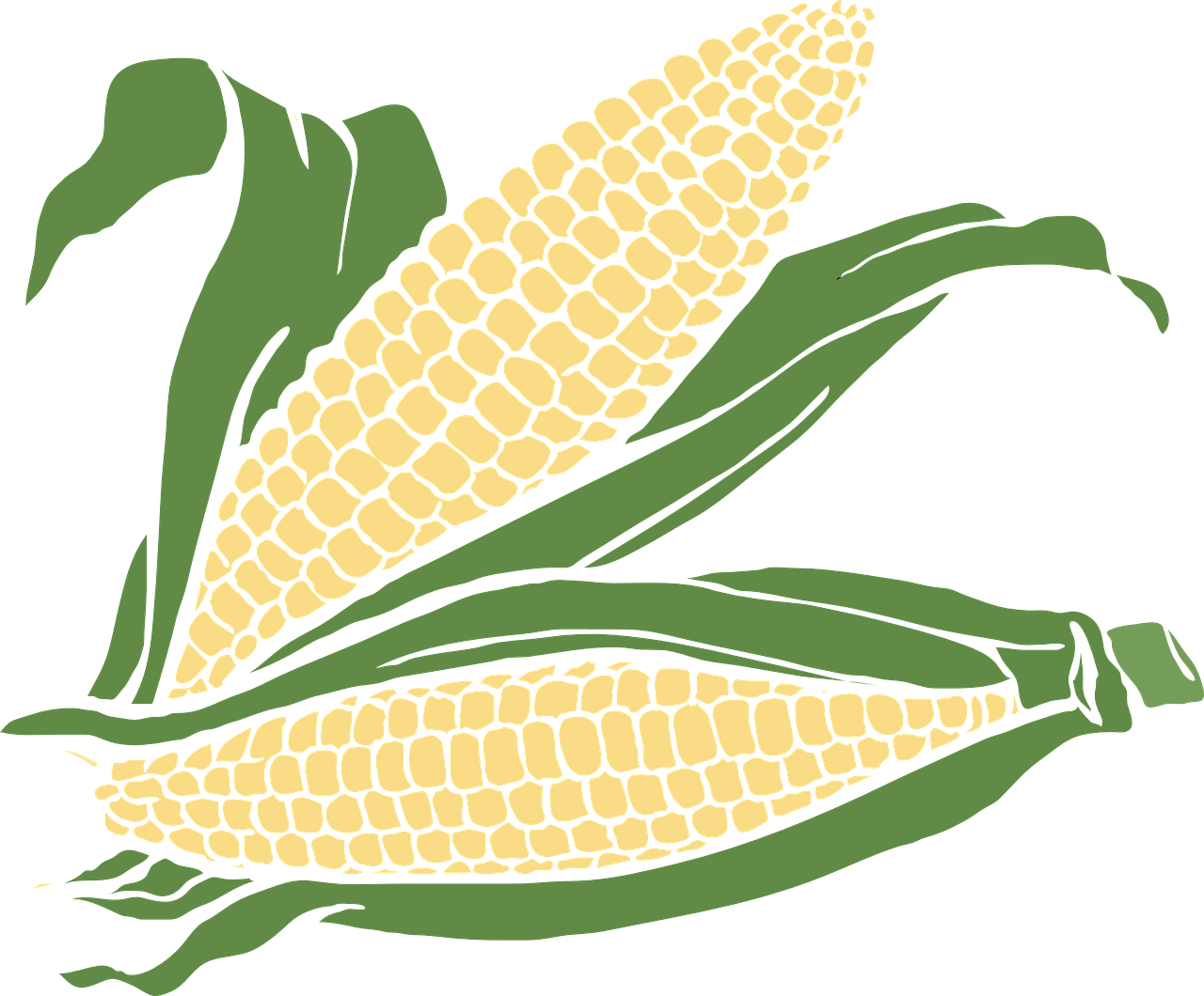 corn, food, maize, plant, agriculture, nature, crop-296957.jpg