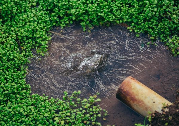 irrigation-agriculture-field-farming-irrigation-irrigation-irrigation-irrigation-irrigation-6700319 irrigation, agriculture, field, farming, irrigation, irrigation, irrigation, irrigation, irrigation-6700319.jpg